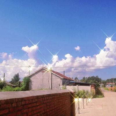 老爷快跑九游版下载